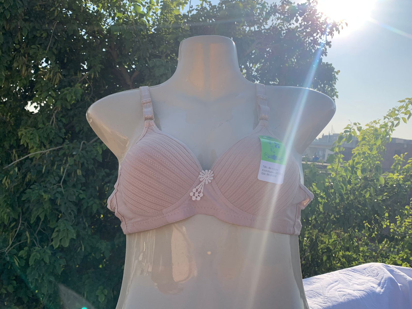 3-Piece Classic Padded Bra Set – Full Color Collection + FREE GIFT