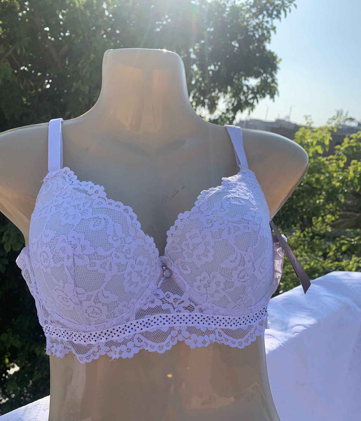 Imported Luxury Lace Push-Up Bra – Amazon Quality (White / Blue / Black / Nude / Skin / Pink / Midnight Blue)+ FREE GIFT