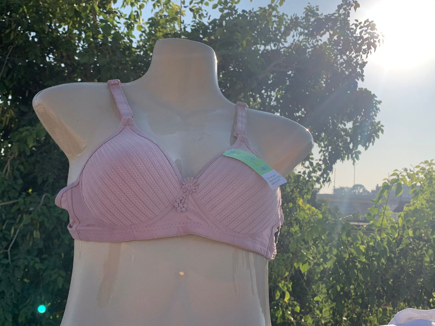 3-Piece Classic Padded Bra Set – Full Color Collection + FREE GIFT