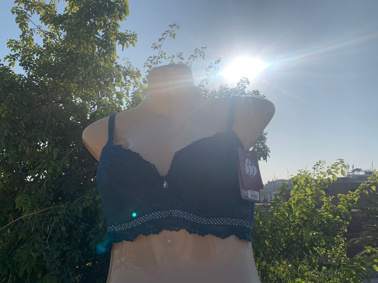 Imported Luxury Lace Push-Up Bra – Amazon Quality (White / Blue / Black / Nude / Skin / Pink / Midnight Blue)+ FREE GIFT